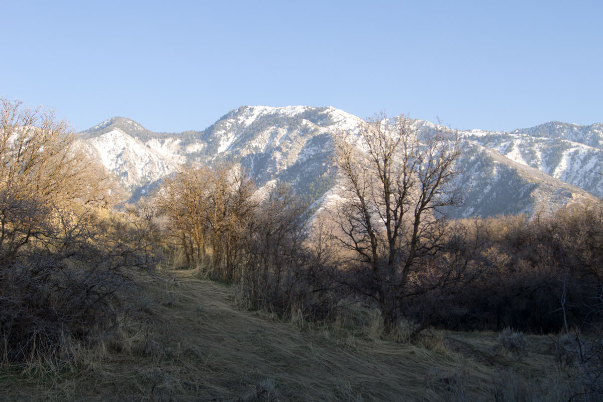 © 2017 Louise Levergneux, hiking in the Dimple Dell Gully Trailhead in Sandy, Utah