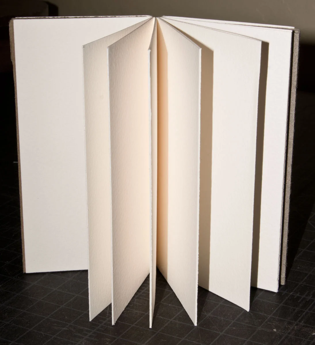 © 2017 Louise Levergneux, sample Drumleaf binding by Karen Hanmer