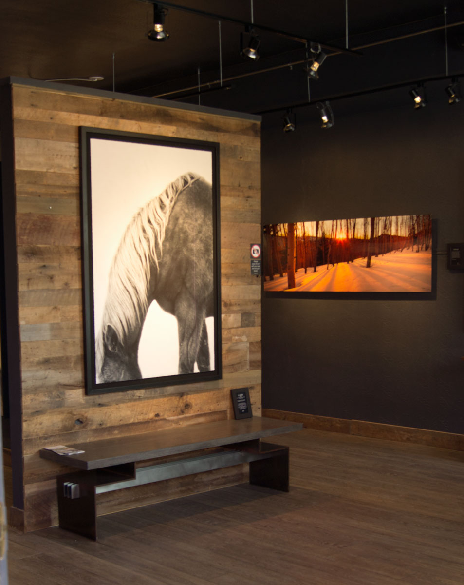 © 2017 Louise Levergneux, view of the inside of the McMillen Gallery from sidewalk
