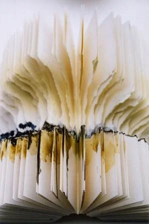 © 2001 Louisa Boyd, Landscape within a book, handbound artists' book, formed by tearing; the imagery was added with watercolour paint and pencils