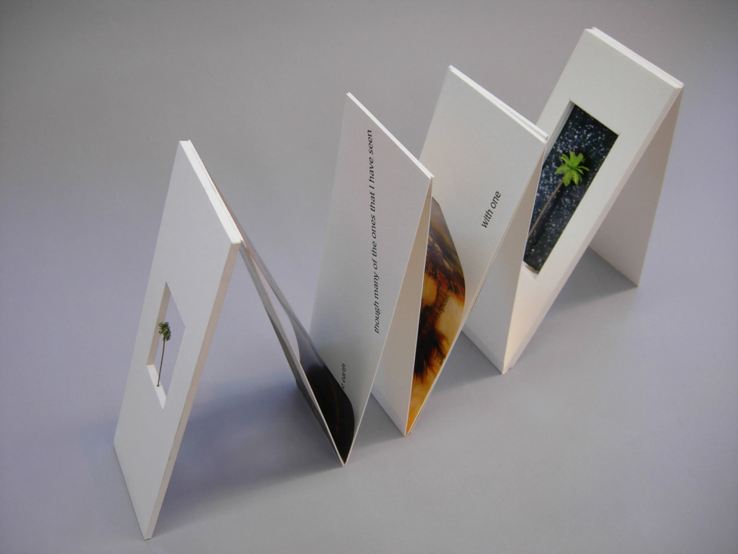 © 2010 Charles Hobson, Trees, an edition of thirty copies