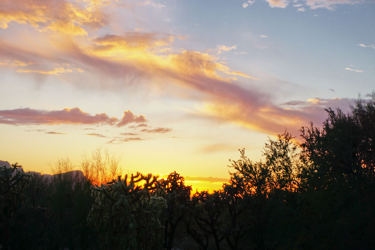 048-Boondocking-at-Richard's,-Tucson,-AZDSC00941.jpg