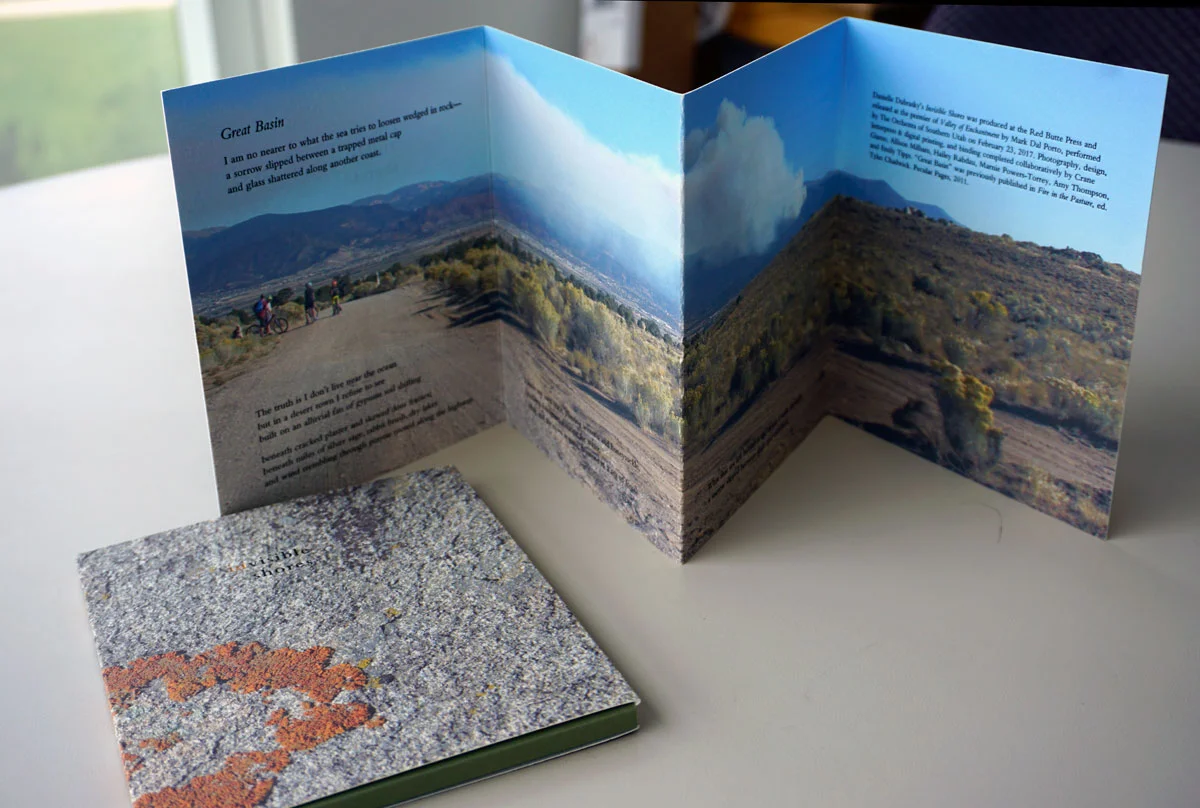 © 2018 Louise Levergneux, (In)visible Shores by Danielle Dubrasky
