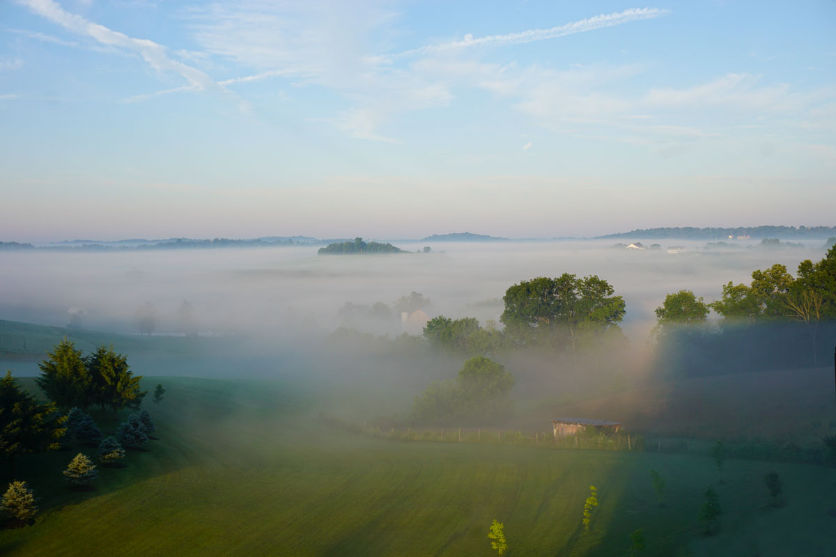 © 2018 Louise Levergneux, June 30th at 6:30 am, view from our room at The Wallhouse Hotel, Walnut Creek, Ohio