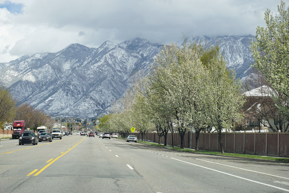 © 2018 Louise Levergneux. Salt Lake City, Utah with spring flowering trees and snow on the Wasatch Range Mountains. / Le printemps à Salt Lake City, Utah, avec des arbres en fleurs et de la neige sur les montagnes Wasatch Range.