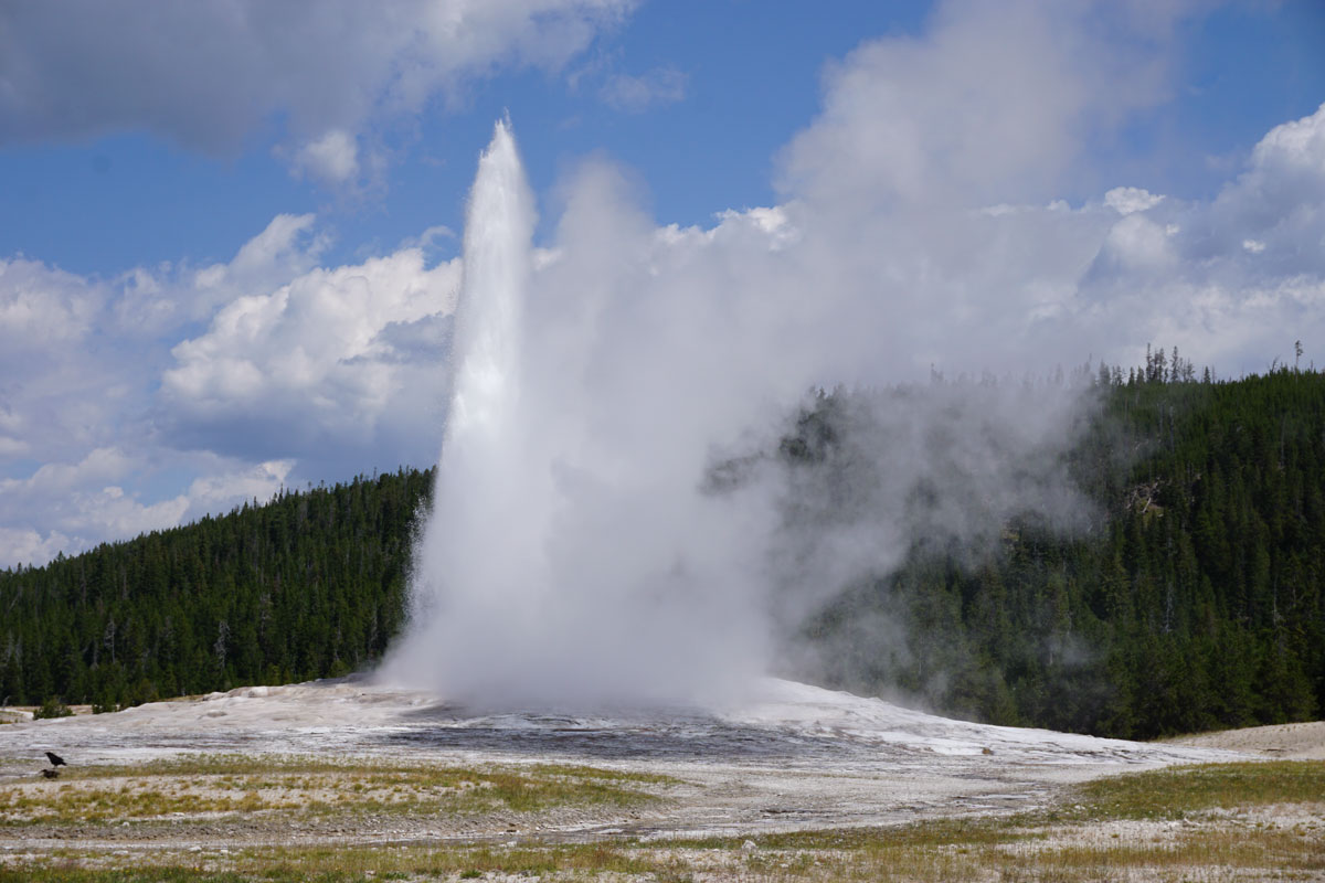 © 2018 Louise Levergneux, Old Faithful in Yellowstone National Park