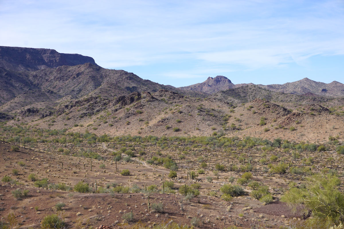© 2018 Louise Levergneux. Sonoran Desert. / Le Désert de Sonora