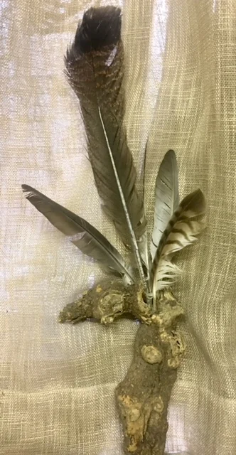 © 2018 Judith Serling-Sturm, I discovered this unique piece on a hike shortly after reading Walt Whitman—for me it evokes the free celebration of self, body, and soul—and one of these days, when I have no pressing duties, I will incorporate this piece into a fan book...