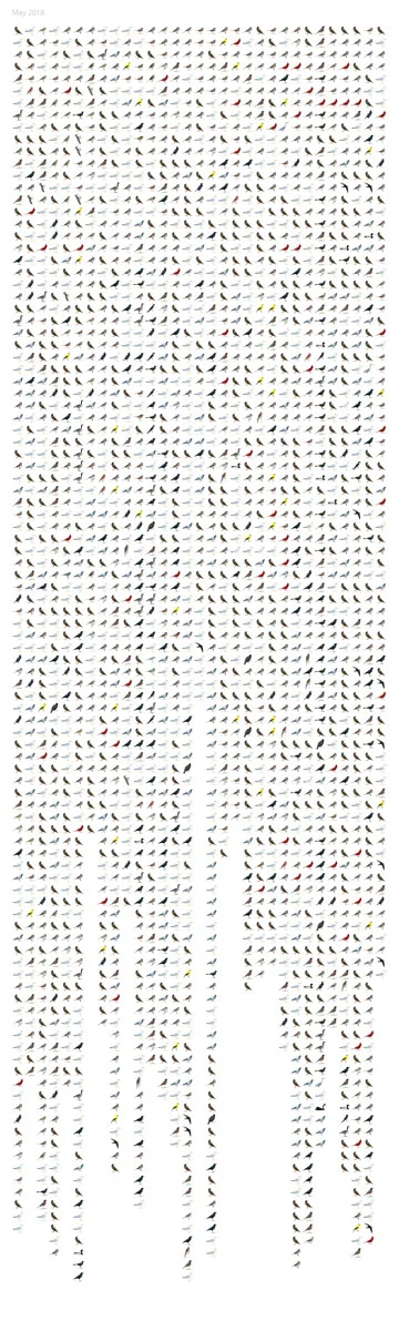 © 2018 Julia Martin. Full print of All the Birds I saw Last Year by Adrian Göllner
