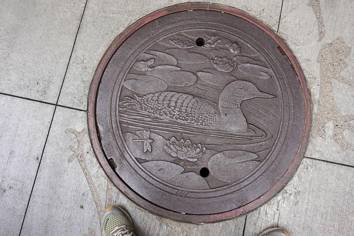 © 2018 Louise Levergneux. The Loon, manhole cover on Nicollet Mall, designed by Kate Burke.