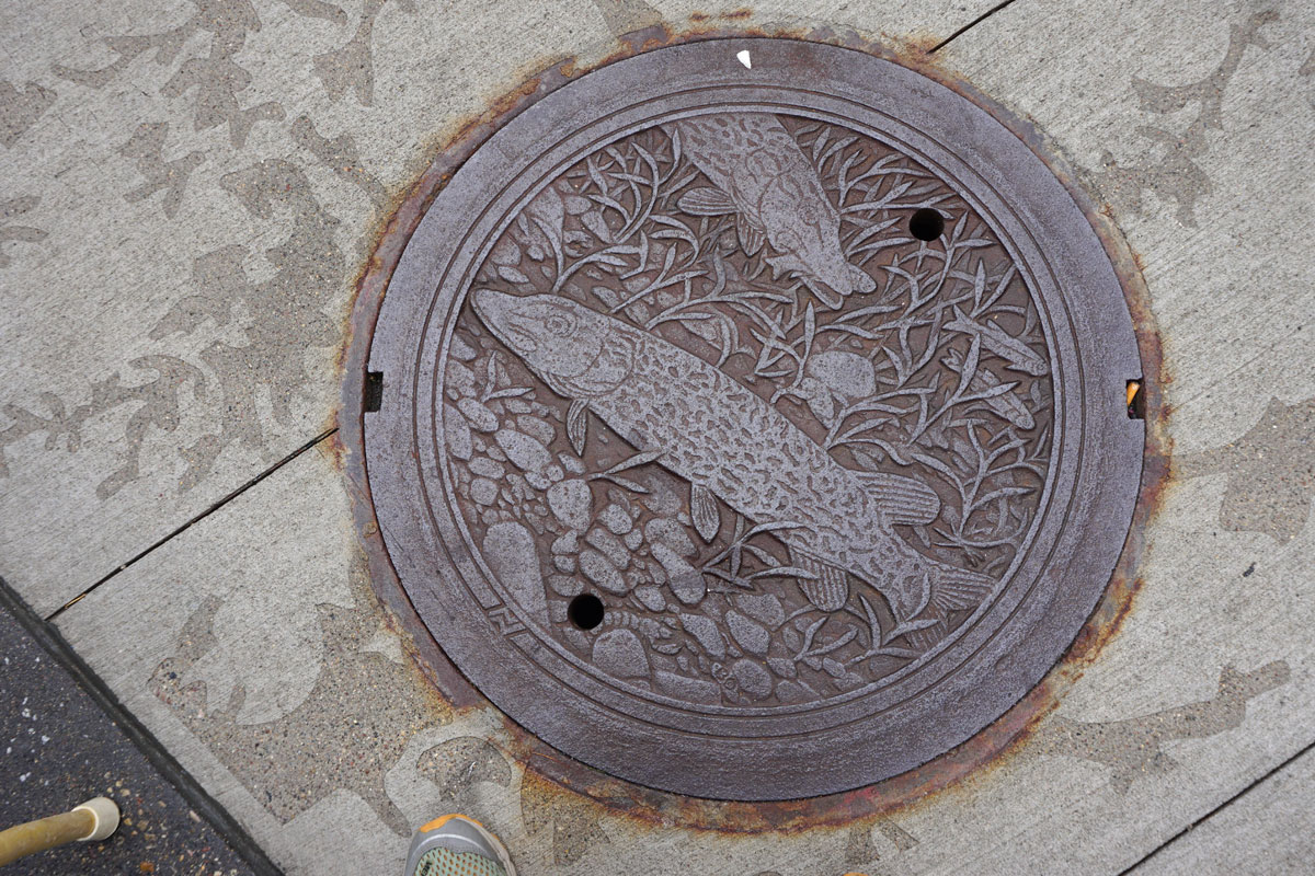 © 2018 Louise Levergneux. Northern Pike, manhole cover on Nicollet Mall, designed by Kate Burke.