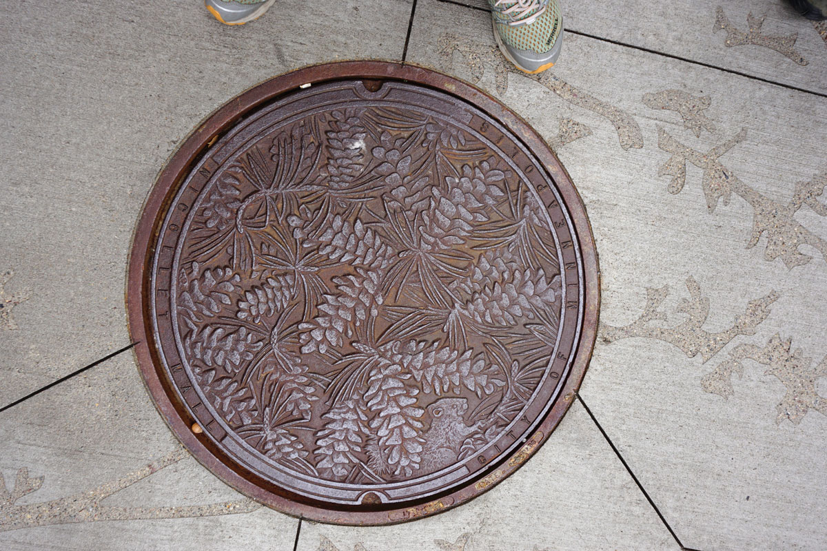 © 2018 Louise Levergneux. Norway Pine, manhole cover on Nicollet Mall, designed by Kate Burke.