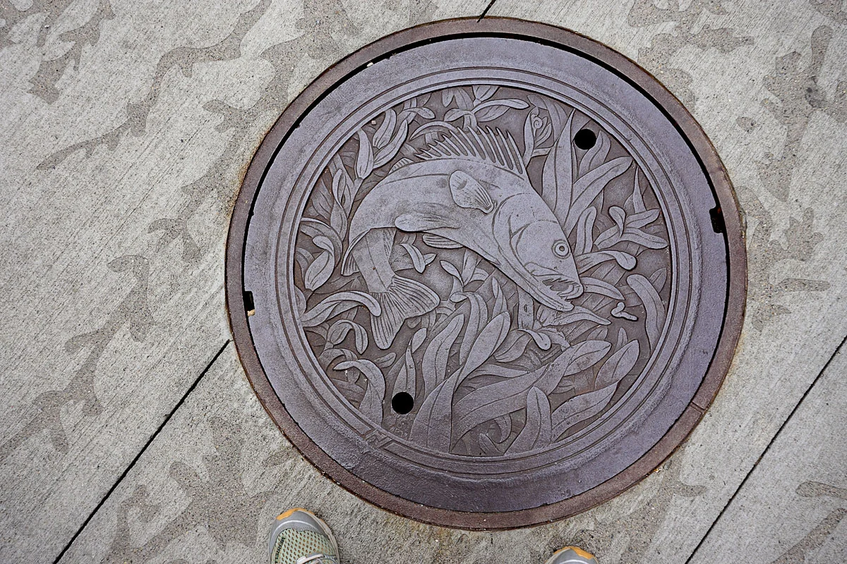 © 2018 Louise Levergneux. The Walleye, manhole cover on Nicollet Mall, designed by Kate Burke.