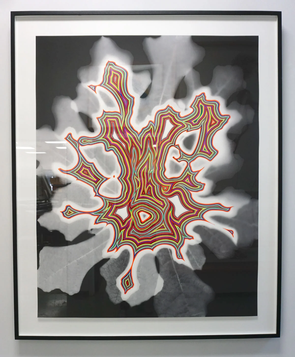 © 2019 Louise Levergneux. Fred Tomaselli, Untitled (bloom), 2018, archival pigment print with 11-run screenprint, 58 x 46” finished print.