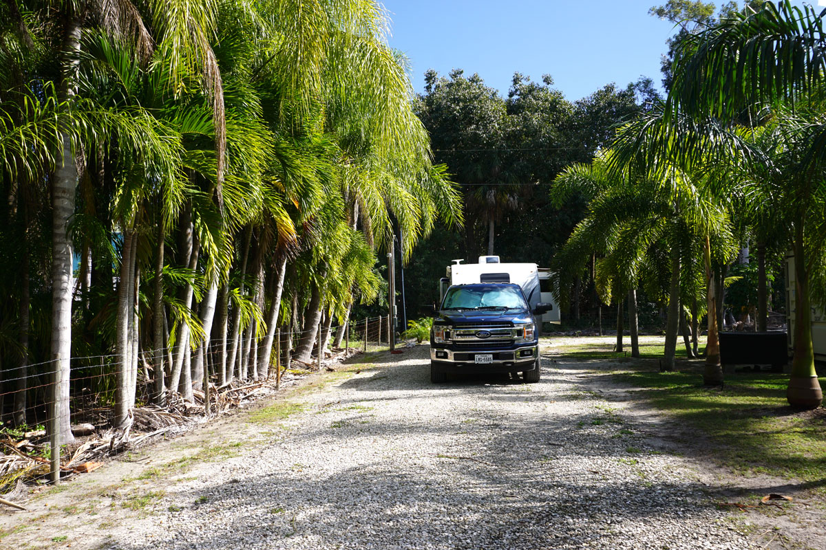 © 2019 Louise Levergneux. Here we are between all the palm trees in Bokeelia, Pine Island. / Nous voilà parmi les palmiers à Bokeelia, Pine Island !