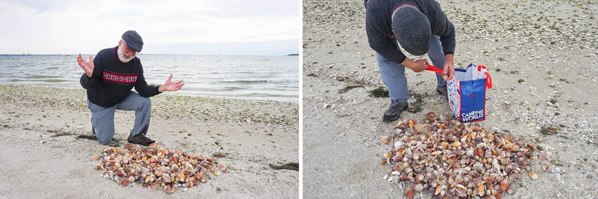 © 2019 Louise Levergneux. We had so much fun shelling/beachcombing that we forgot we live in a 7.5 m (24’) travel trailer home. What a collection! / Nous avons eu tellement de plaisir à ramasser des coquillages que nous oublions que notre caravane résidentielle à que 7.5 m. Quelle collection !