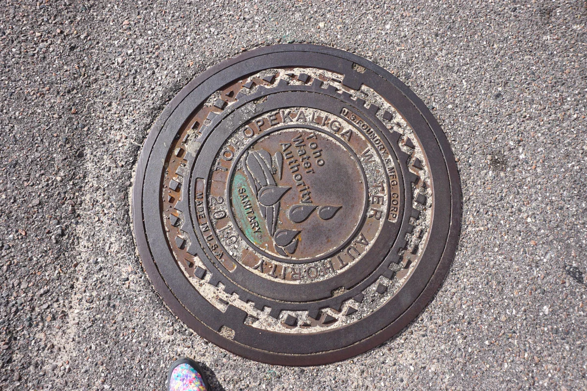 © 2018 Louise Levergneux. Manhole cover in Orlando, Florida.