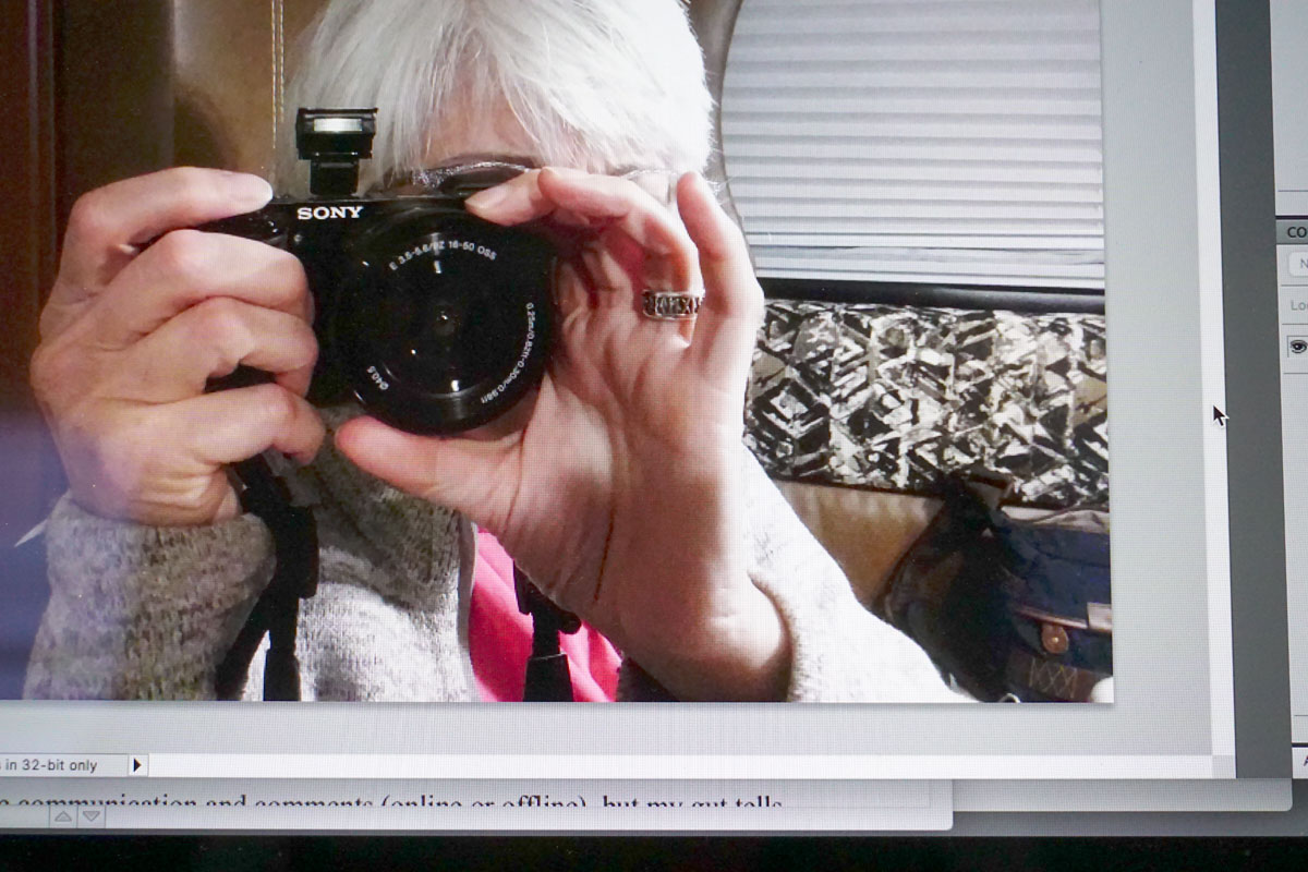 © 2019 Louise Levergneux. Image for my new artists’ book Surveillance .