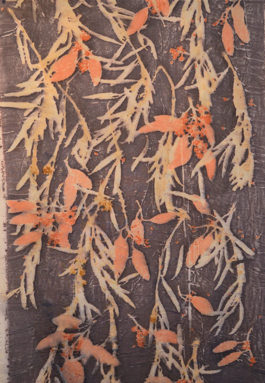 © 2019 Merike van Zanten. John8, eco print eucalyptus on silk.