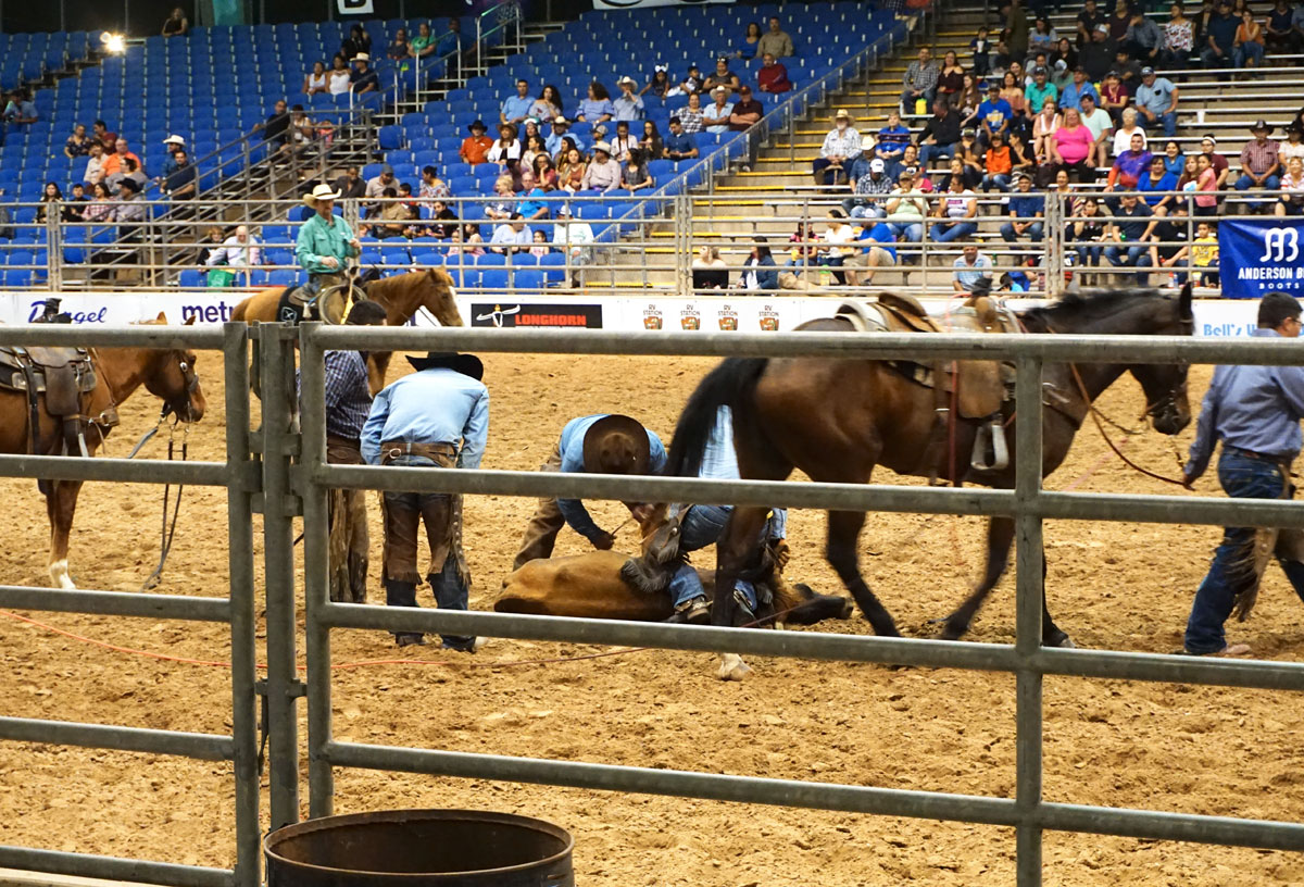 © 2019 Louise Levergneux. Cowboys at the Rio Grande Valley Ranchers Rodeo. / Des cow-boys au rodéo Rio Grande Valley Ranchers.