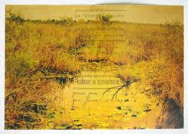 © 2012 Dorothy Simpson Krause. River of Grass.