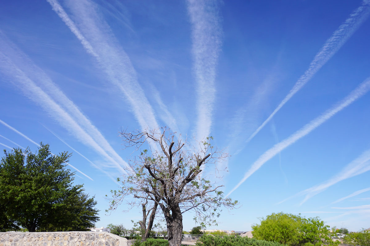 © 2019 Louise Levergneux. The beautiful sky of Las Cruces in the morning. / Un beau ciel en matinée à Las Cruces.