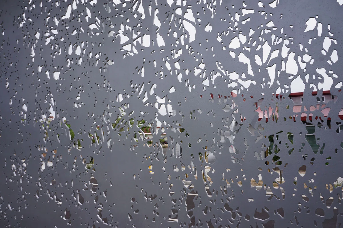 © 2019 Louise Levergneux. Seeing through Creosote Lace by Barbara Grygutis.
