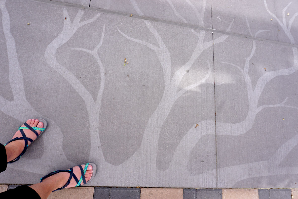 © 2019 Louise Levergneux. Creosote Lace can also be experienced on the sidewalks.