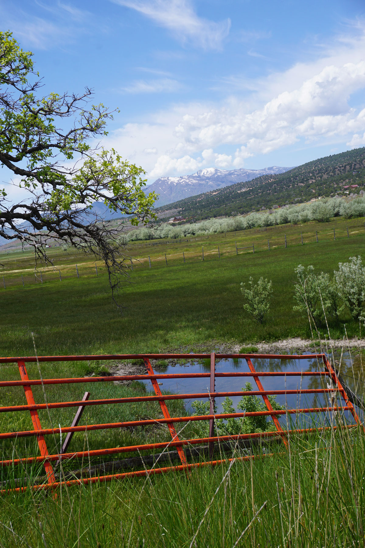 © 2019 Louise Levergneux. Kanarraville’s countryside in Utah.