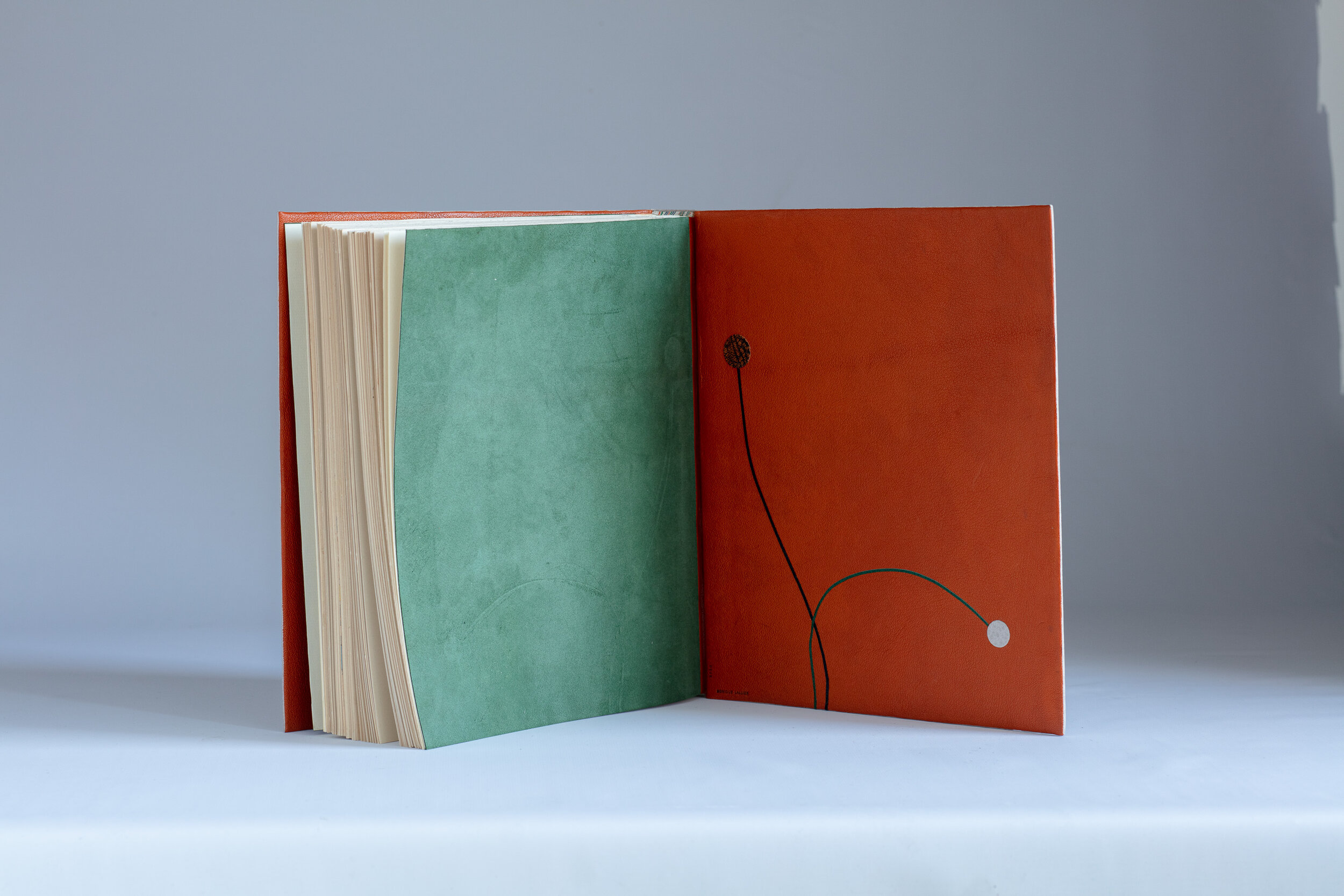 2020 Monique Lallier. Back inside cover by Monique Lallier.