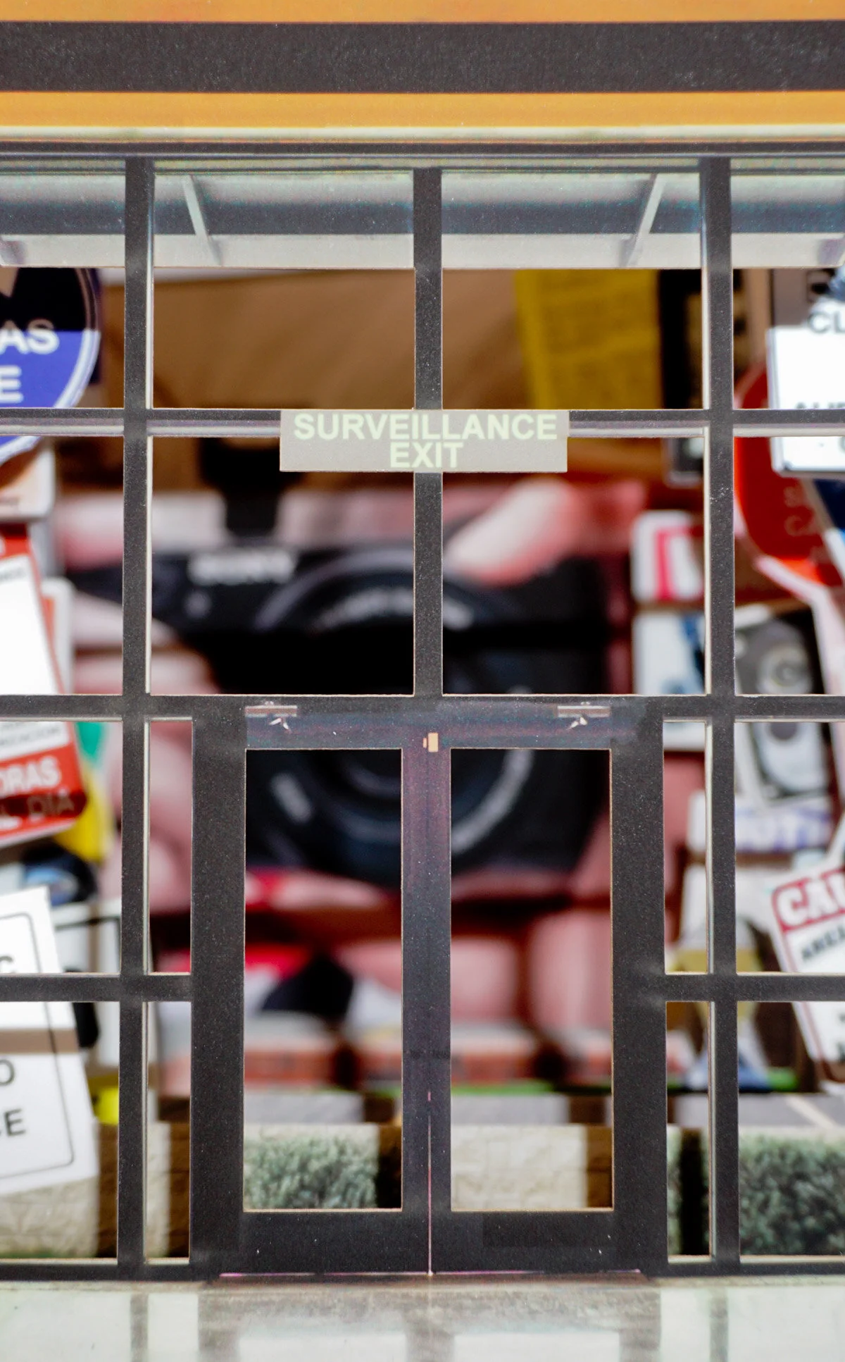 069Surveillance-Web cover.JPG