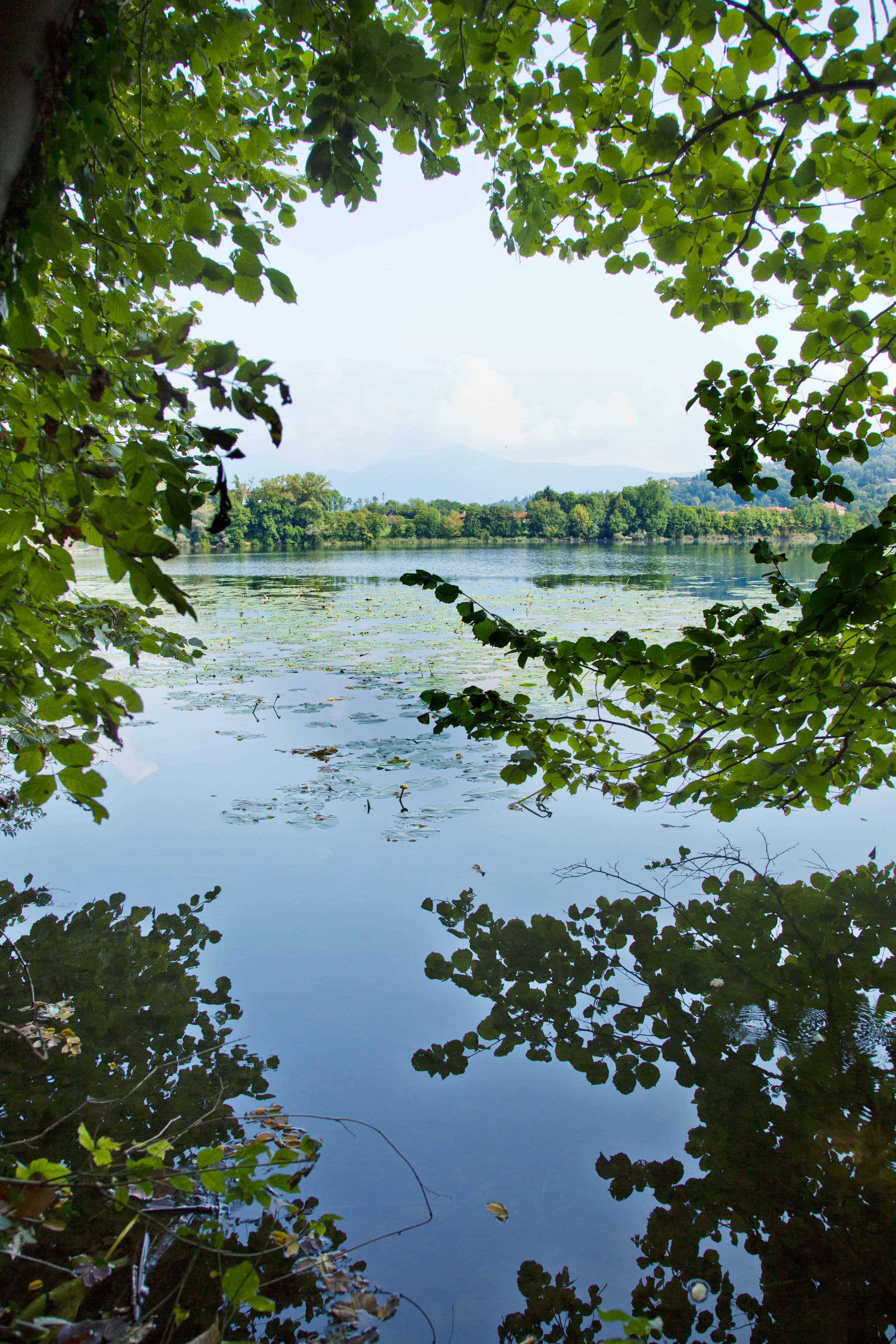 Water View