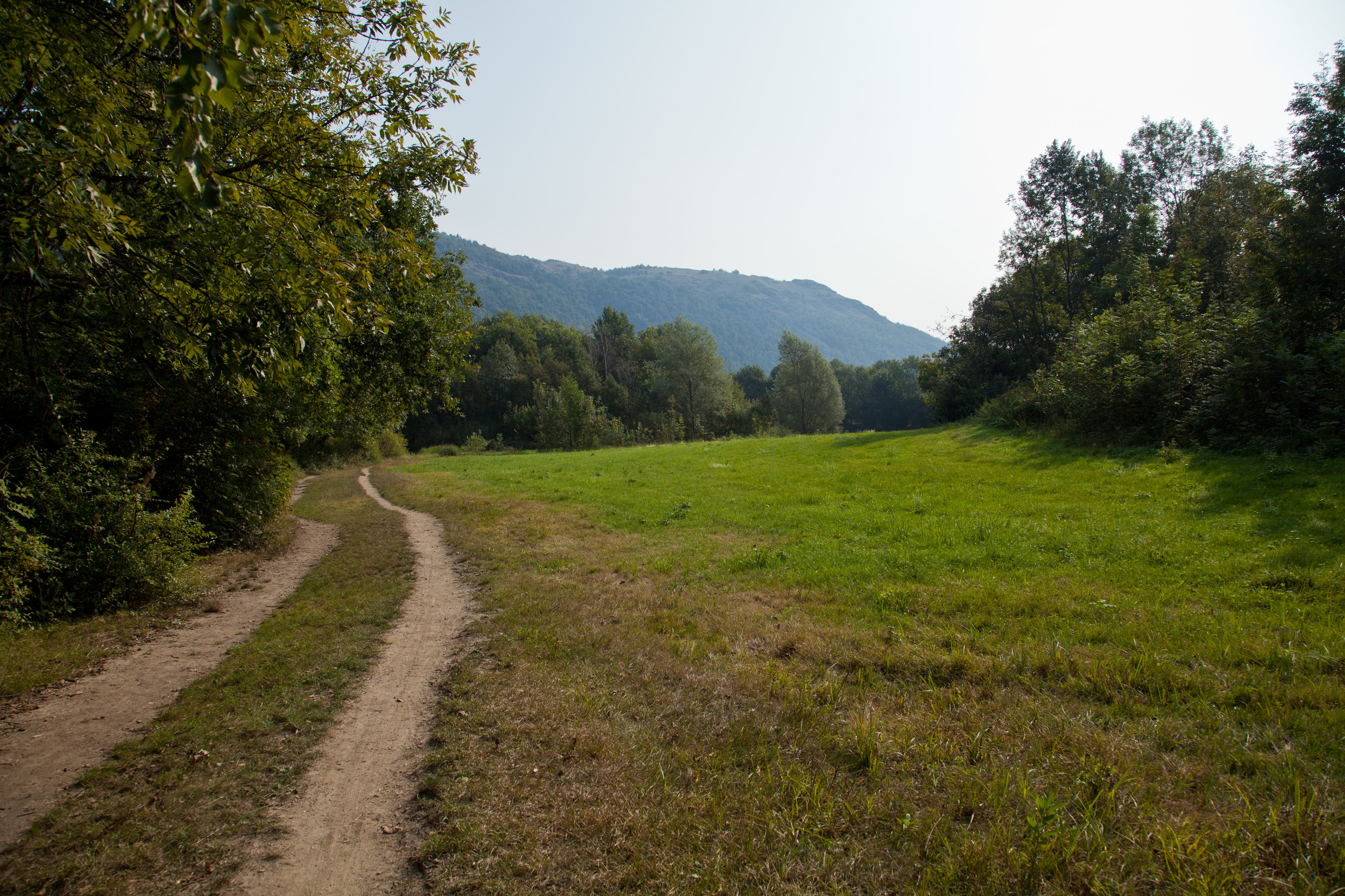 Path Near the Little Lake