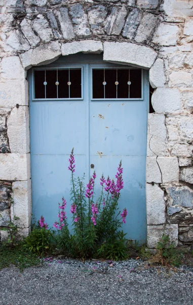 Purple Flowers