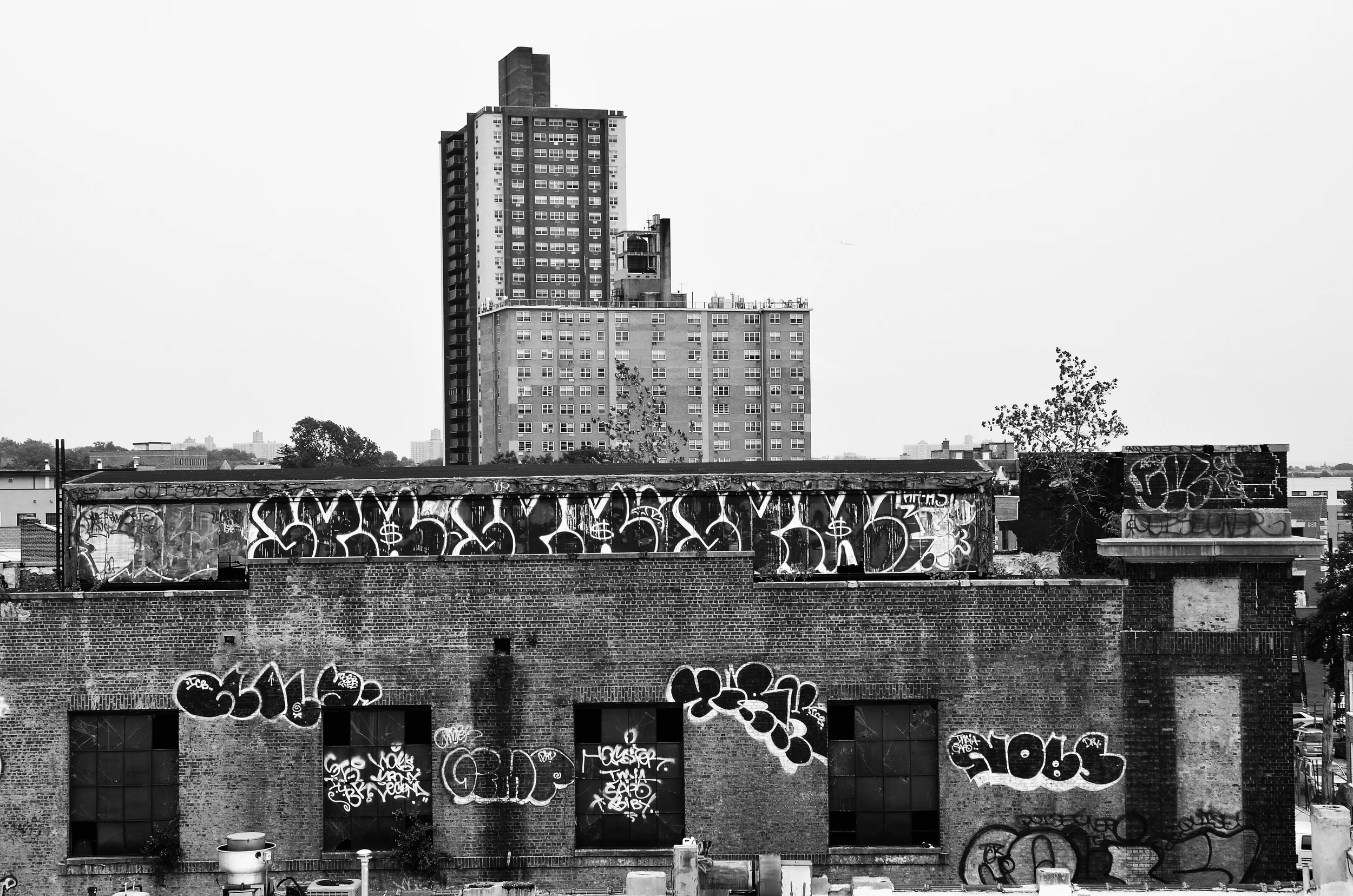 DSC_0496_DxOFP.jpg