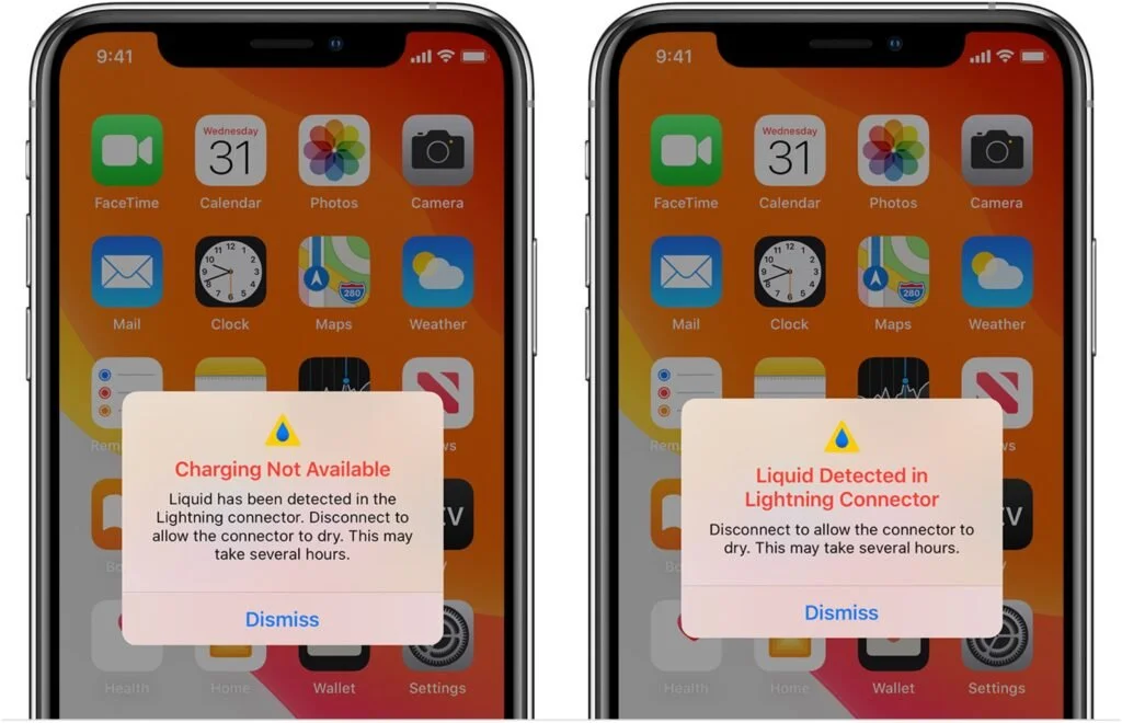 What to Do If Your iPhone Takes a Plunge