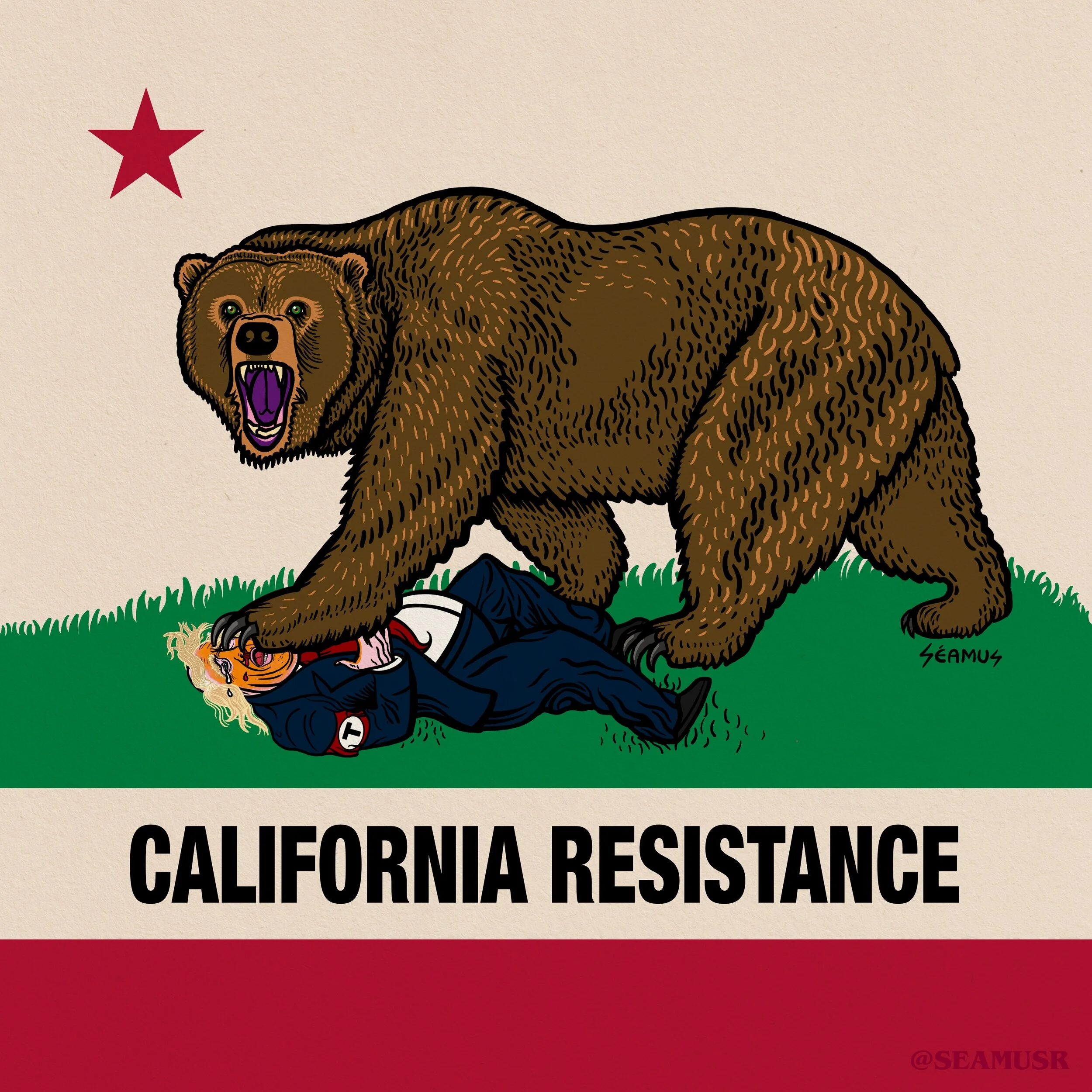 California Resistance