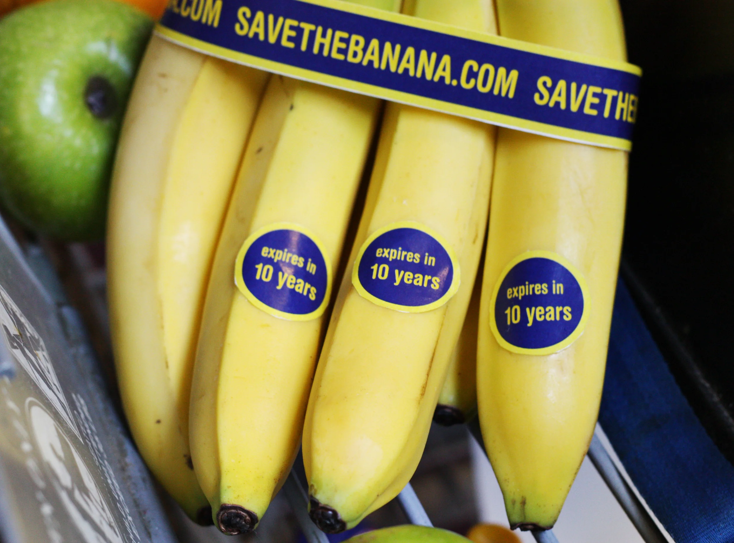Bananas in Buggy 1.jpg