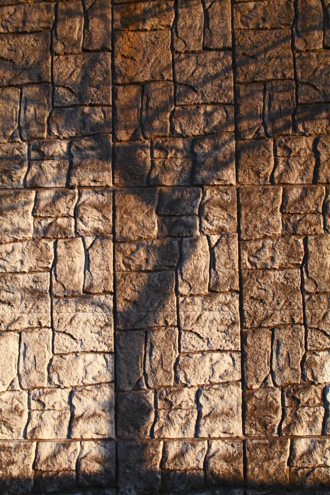 Tree_shadow.jpg