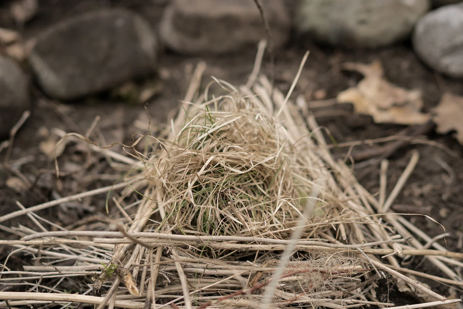 0322_bushcraft_TG_0120.jpg