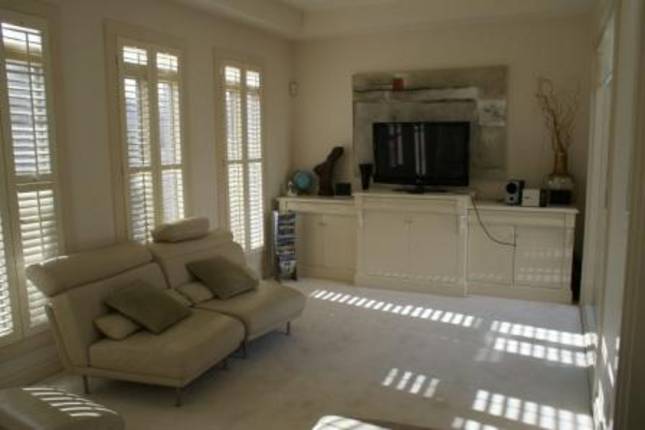 swan 1 theatre room.jpg