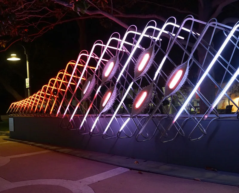 Palo_Alto_01.jpg