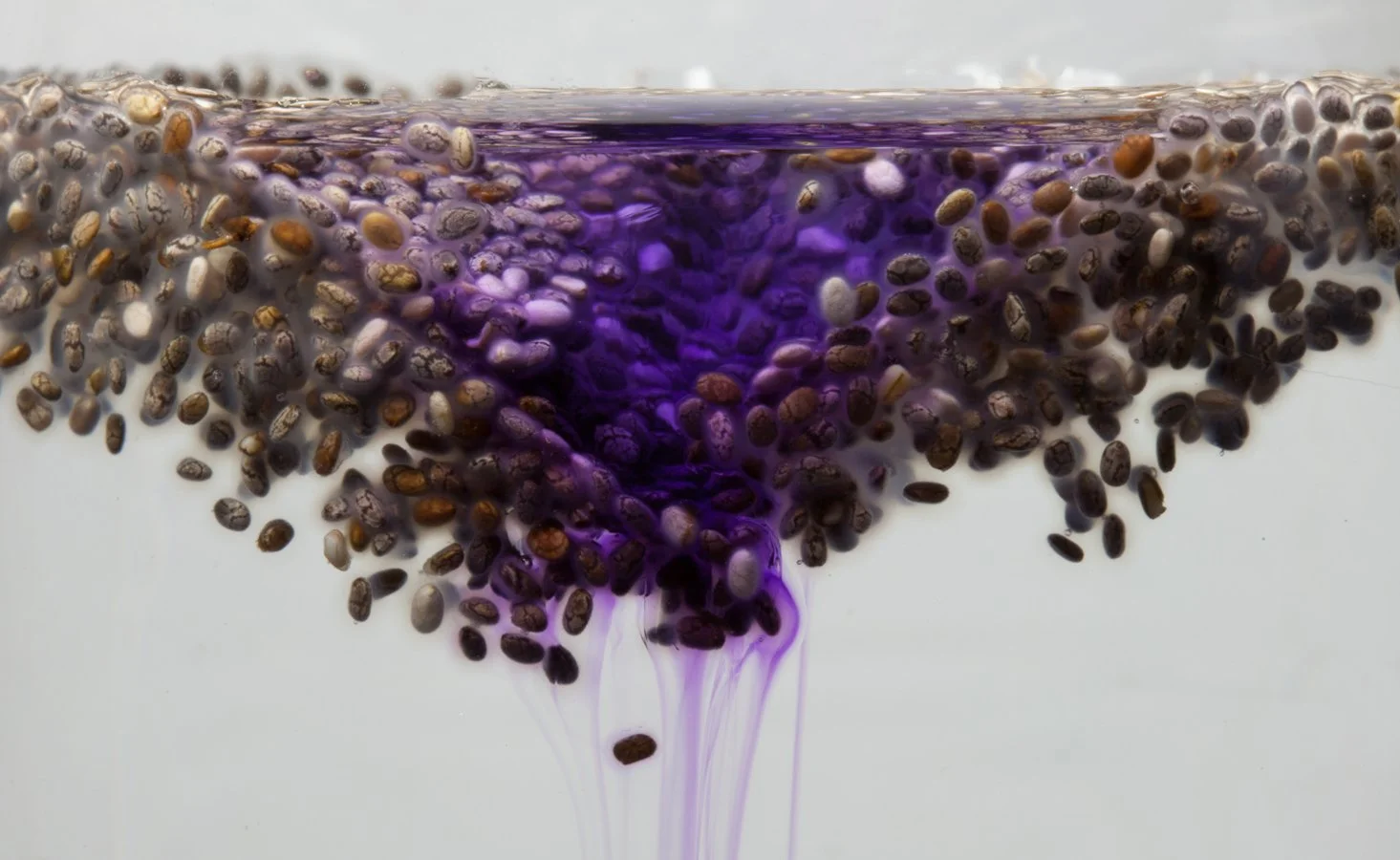 jfrankSynapse_final (1).jpg