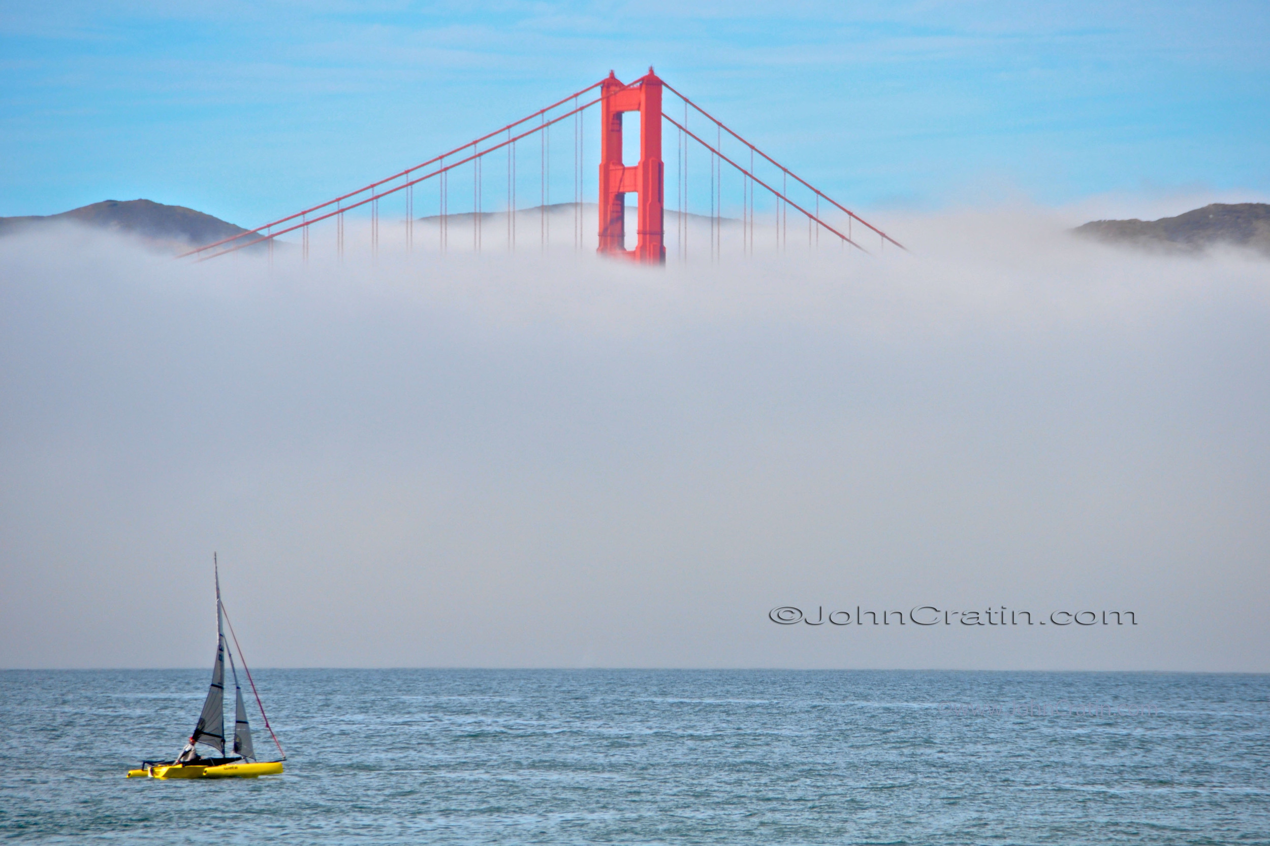 Golden Gate Cat C-R copy.jpg