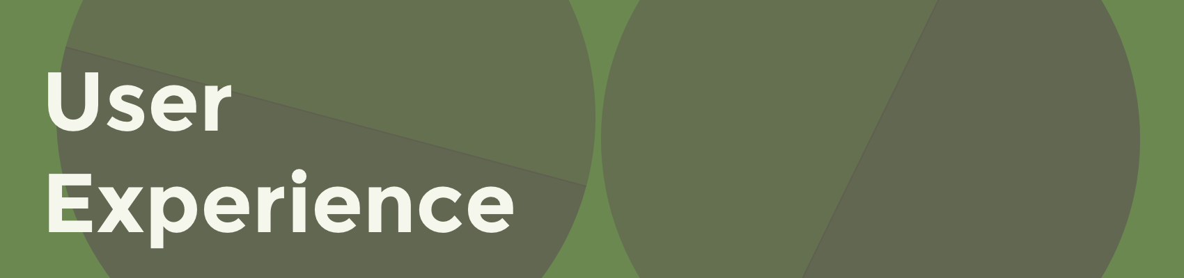 User Experience Banner.png