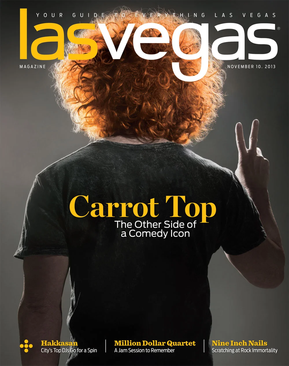 TOP_lvmcover.jpg