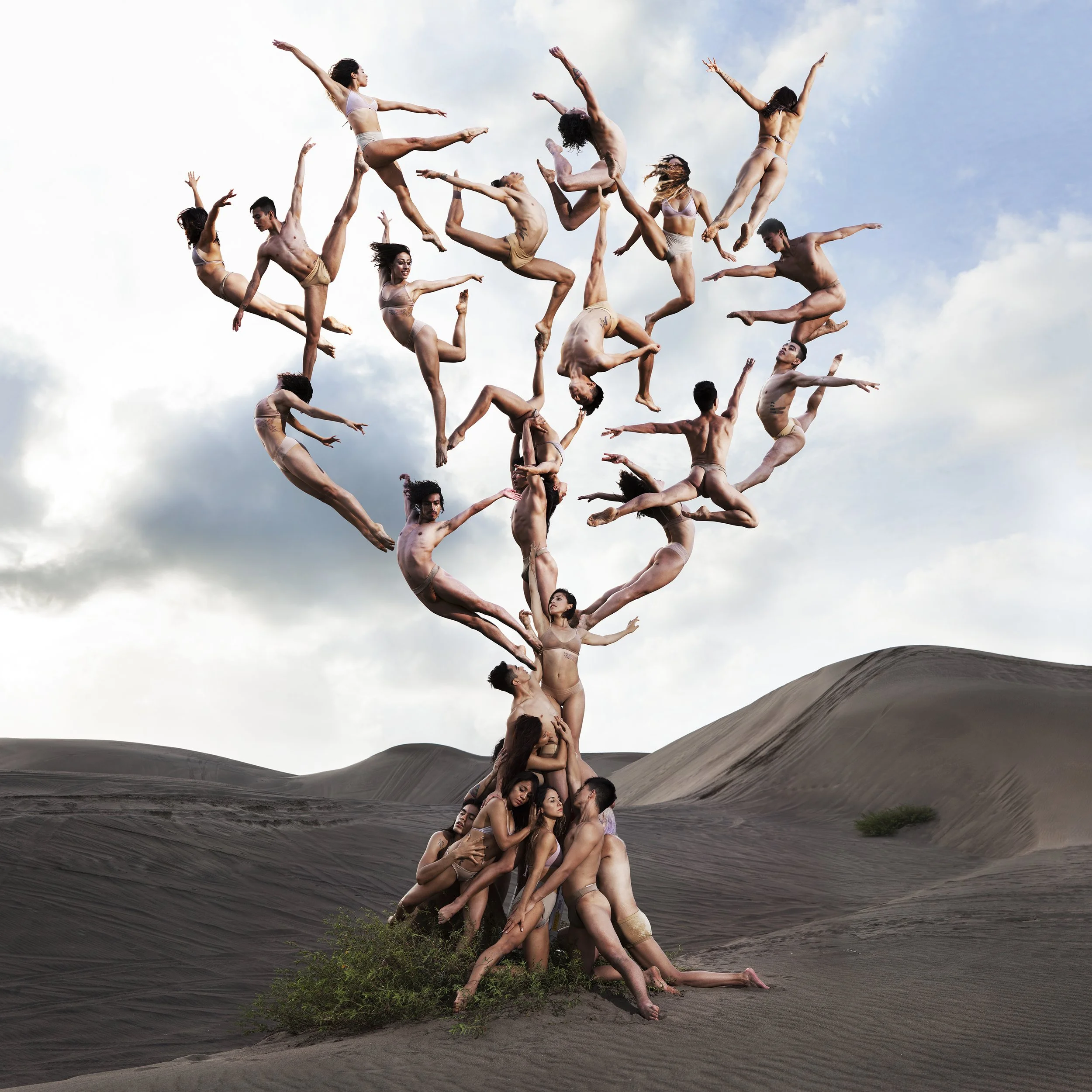 Tree Of Life.jpg