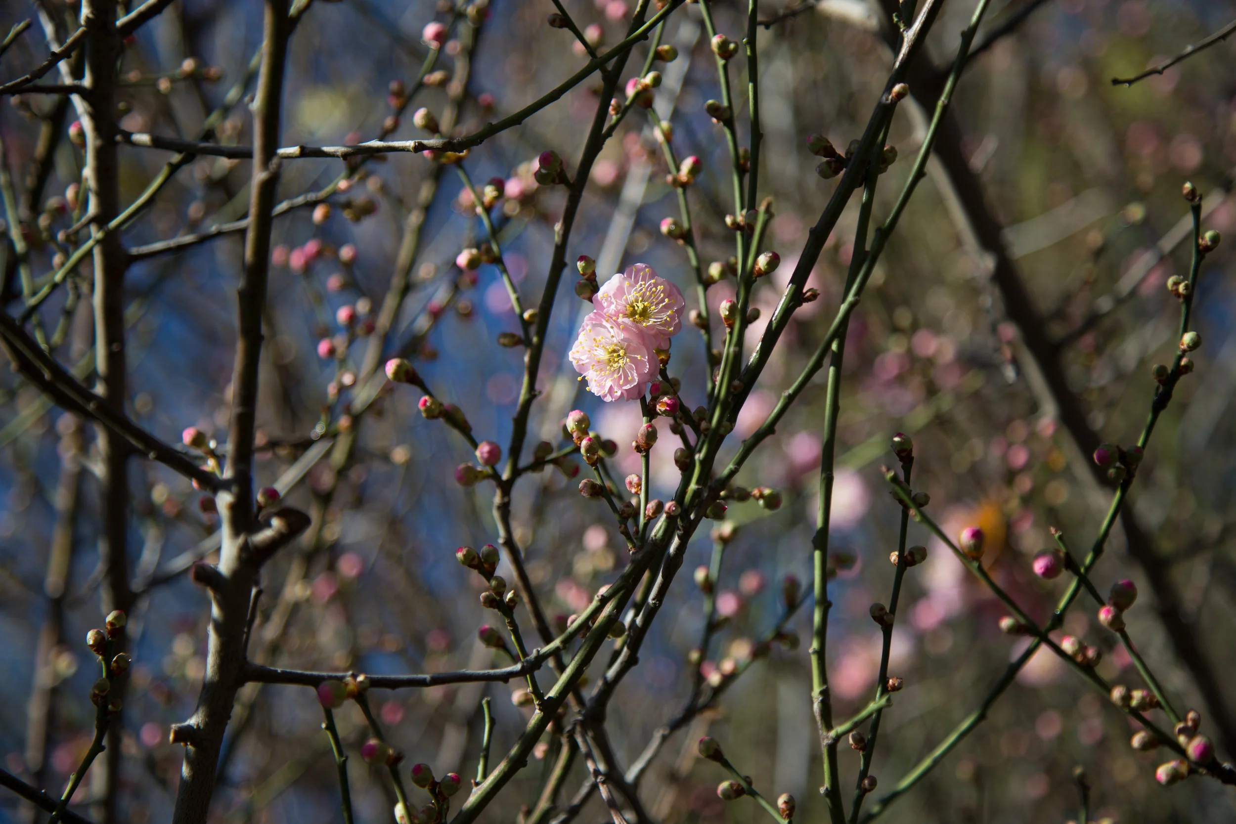 lrIMG_4059.jpg