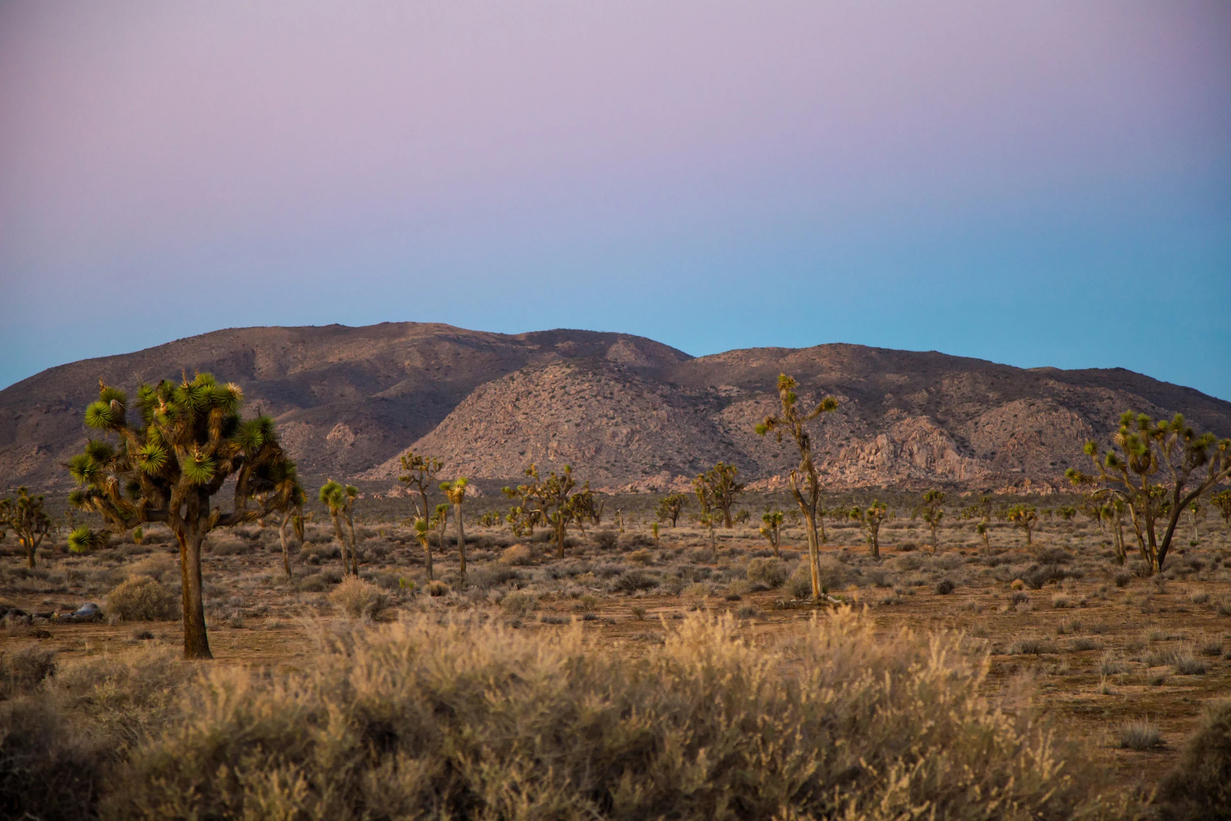 These are images I took Sunday morning as the sun was rising.