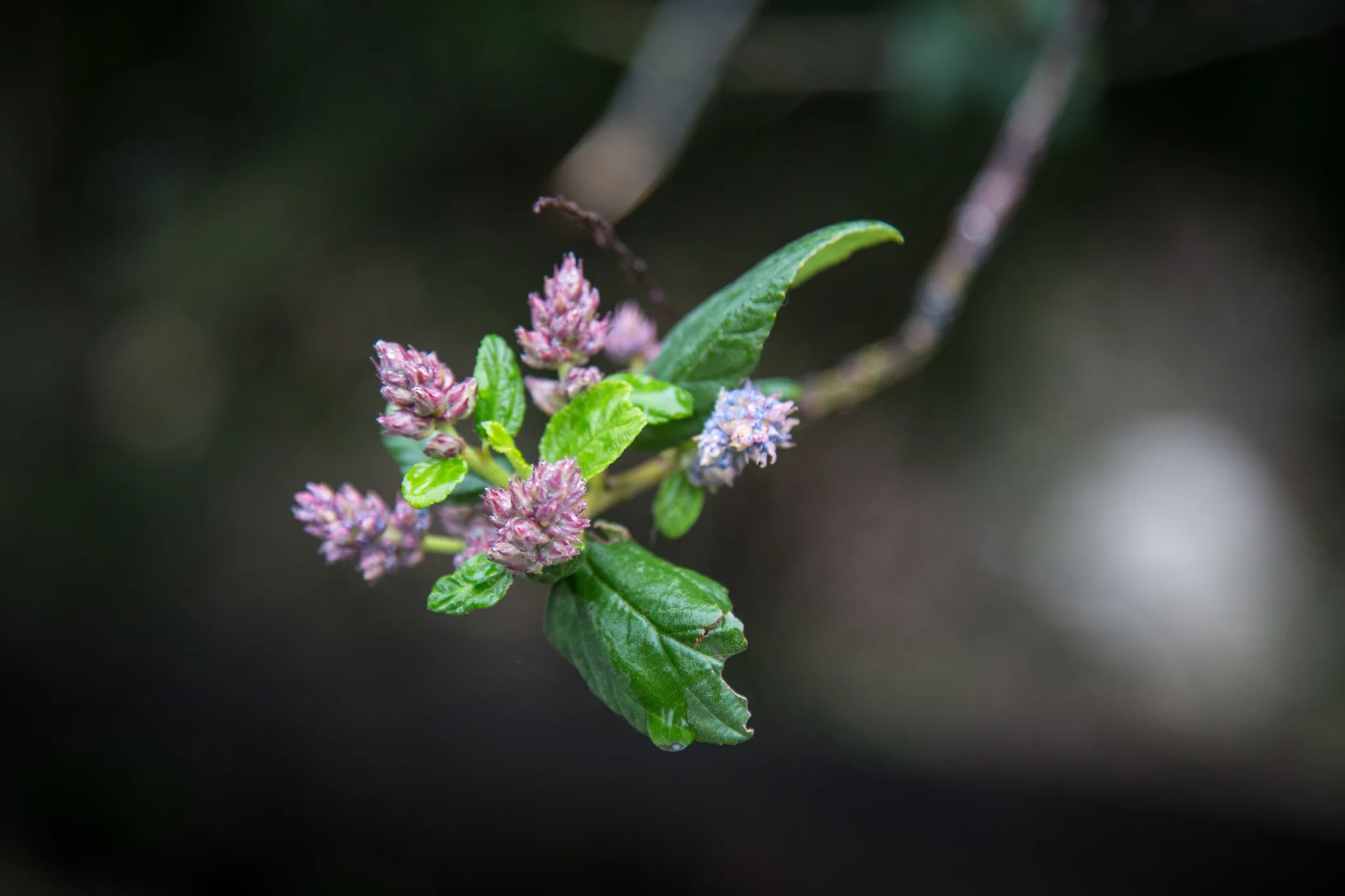 New life everywhere.